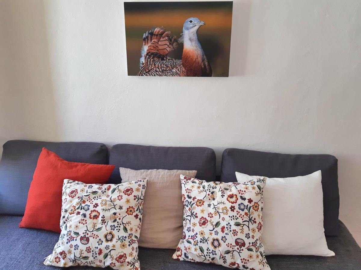 Casas De Alcamim By Portus Alacer Elvas Exteriér fotografie